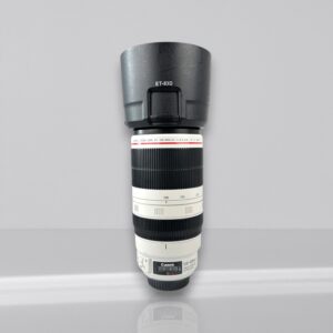 Canon EF 100-400mm f/4.5-5.6L IS II USM + Extender 1.4 II