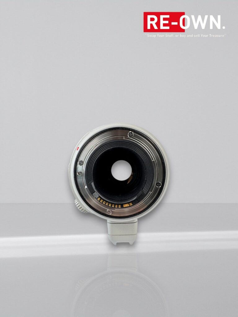 Canon EF 100-400mm f/4.5-5.6L IS II USM + Extender 1.4 II