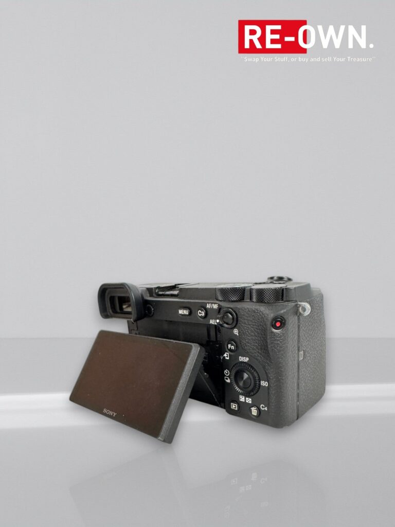 Sony A6600 body