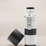 Canon RF 200-800mm f/6.3-9 IS USM - Thumbnail 3